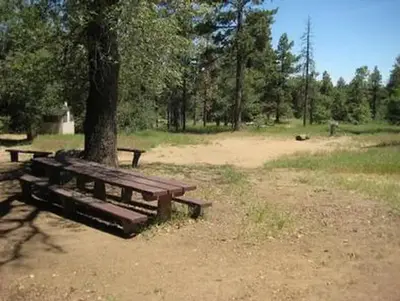 Wooded Hill Group