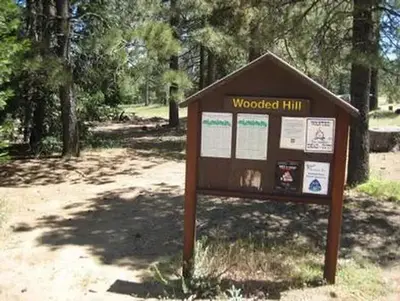 Wooded Hill Group