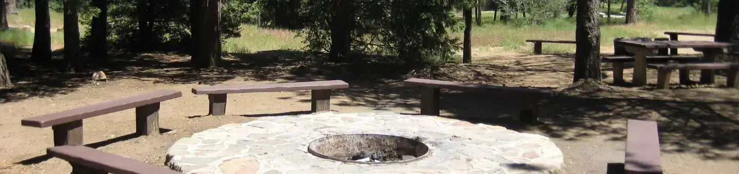 Wooded Hill Group Campground