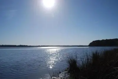 Oyster Point Campground