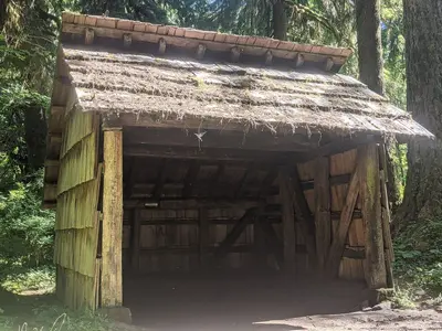 Happy Four Emergency Shelter, a look at the roof