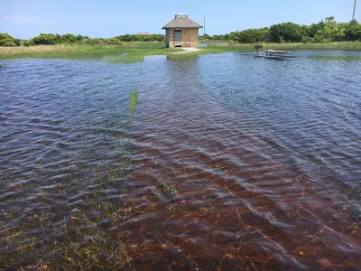 Cape Point Campground flooding, June 2020 (50087989917)