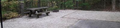 Zilpo - Daniel Boone Nat. For.
