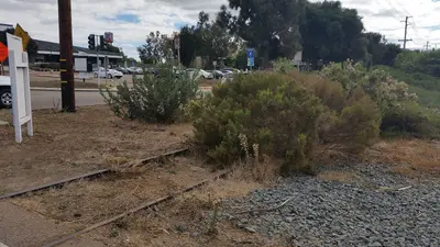 Overgrown rail Discovery Center