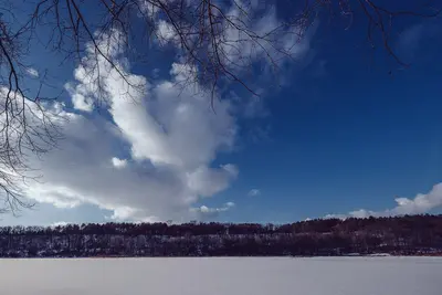 Lake Alice - Winter at William O'Brien State Park, Minnesota (26332744698)