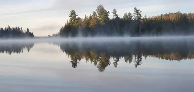 Beautiful fog on lake