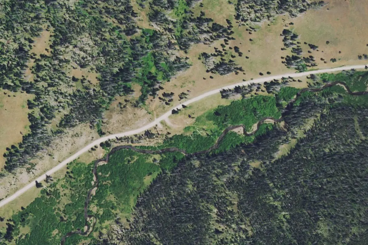 Aerial view