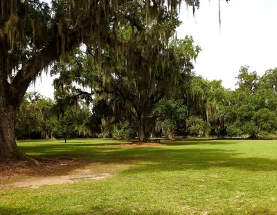 Fontainebleau State Park, Louisiana 2019 09
