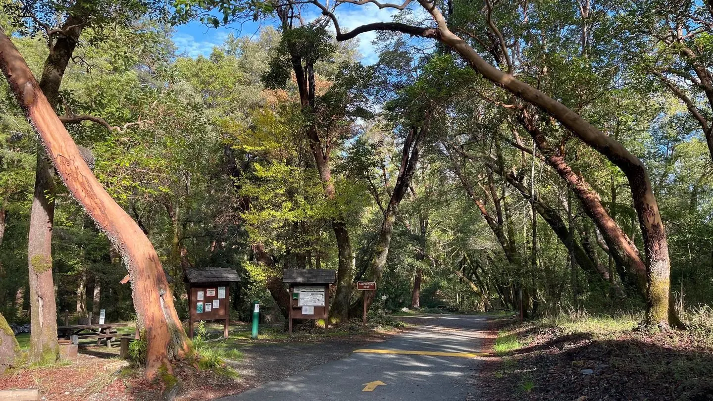 Willow Creek off Boise CG trail