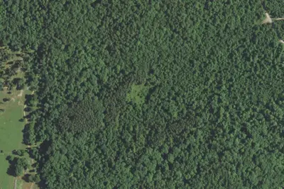 Camp site