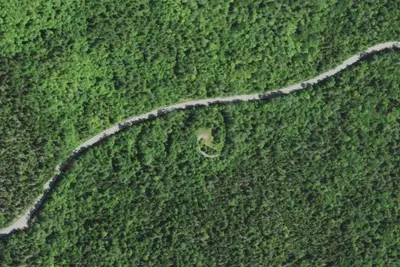 Camp site (NYSDEC)