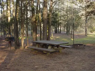Site