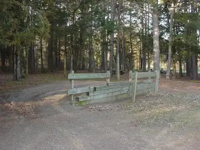 Loading Ramp