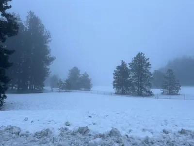 Foggy afternoon at Indian John Hill Rest Area