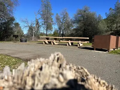 Lower J/V DBL