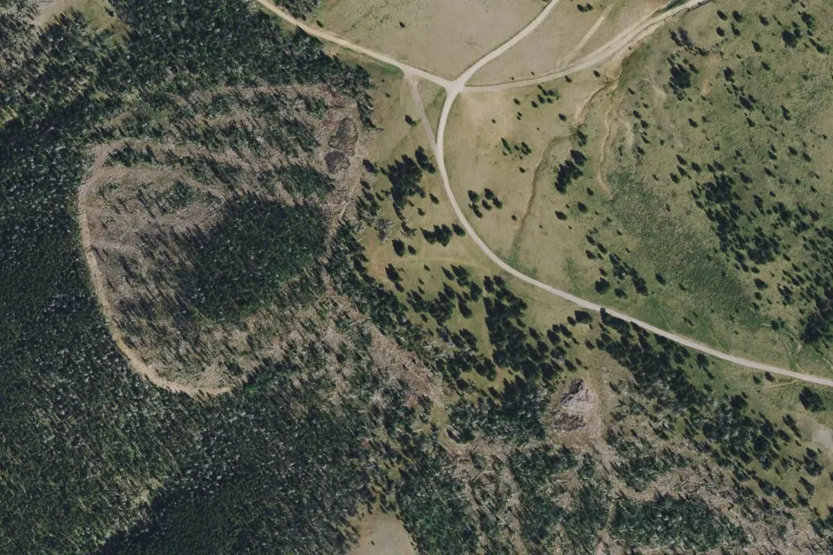 Aerial view