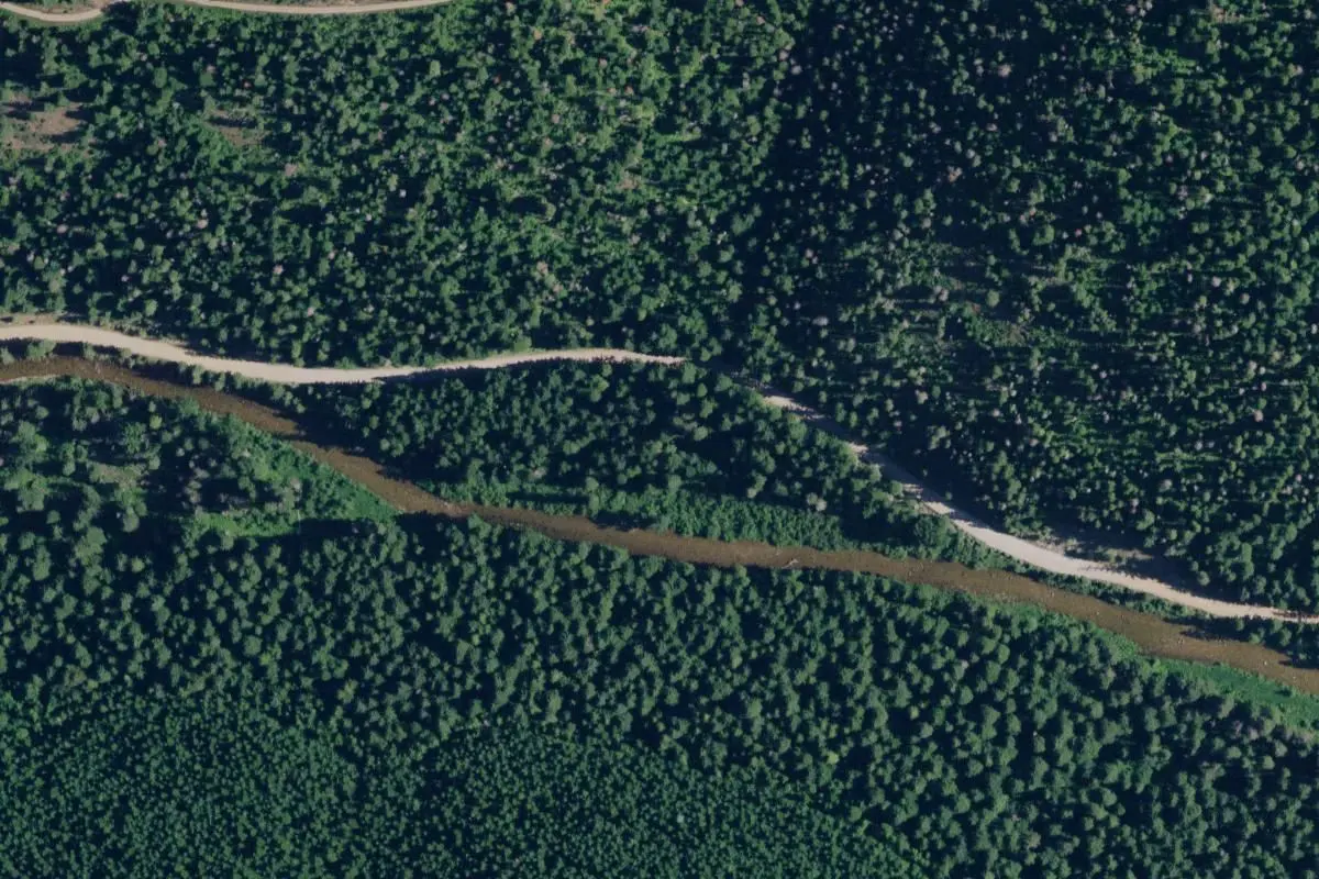 Aerial view
