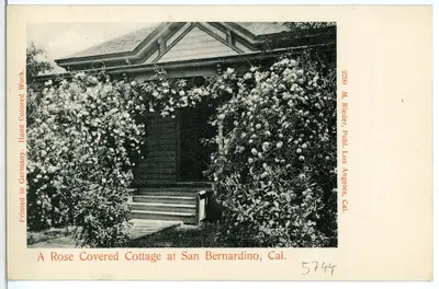 05744-San Bernardino-1905-A Rose Covered Cottage at San Bernardino, Cal.-Brück & Sohn Kunstverlag