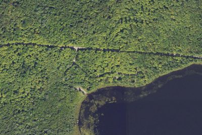 Bobcat Lake Camp