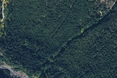 Suiattle River Trail Camping Area