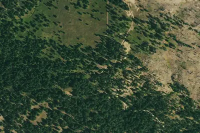 Camp site