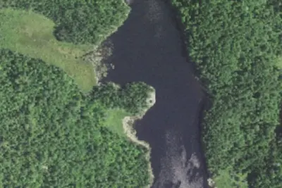 Camp site (Superior National Forest)
