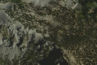 Camp site