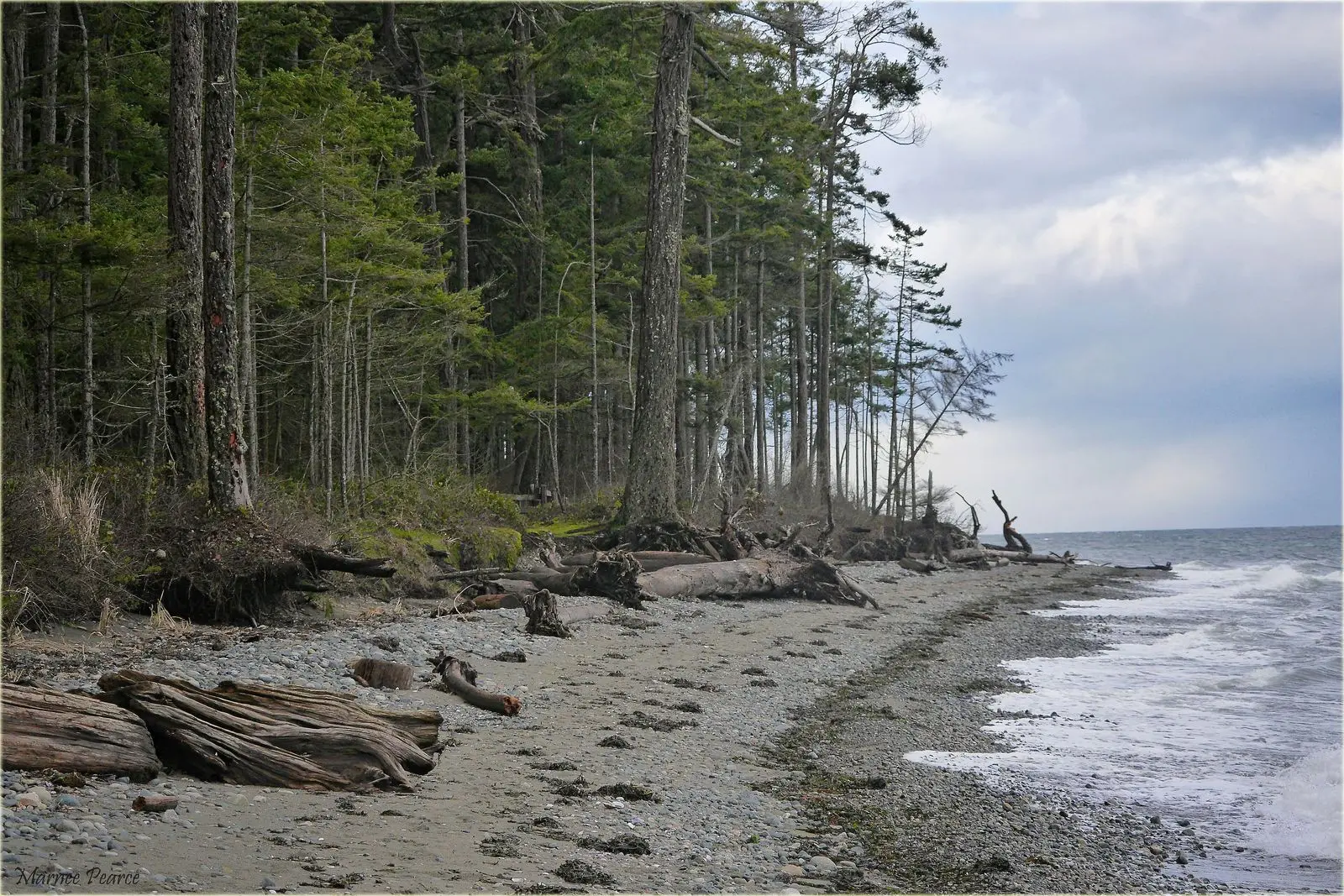 Photo of Rathtrevor Beach Park