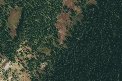Camp site