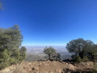 Mingus Mountain Campground and Group Site