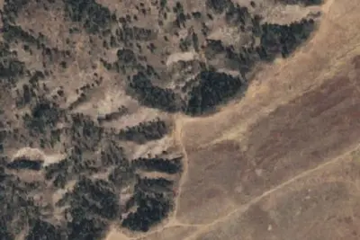 Camp site