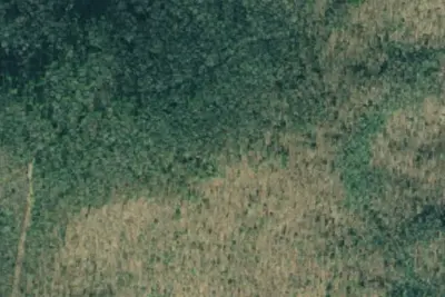 Camp site