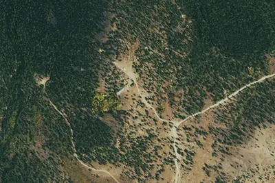 Camp site
