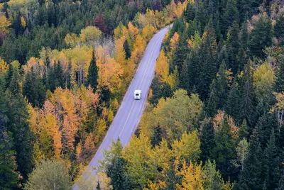 Bird's-eye view of an autumn road (Unsplash)