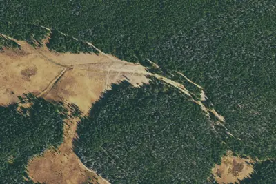 Camp site