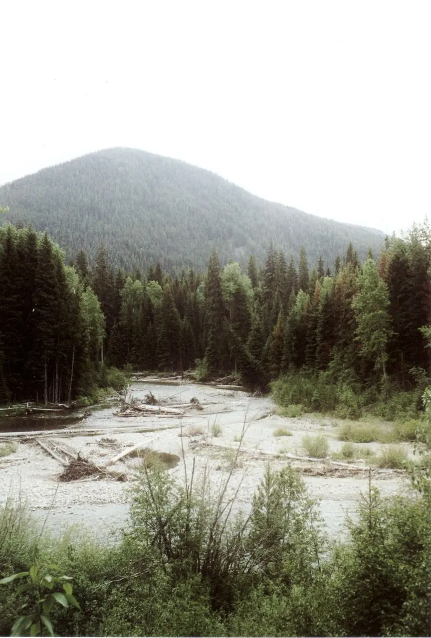 Photo of E.C. Manning Park