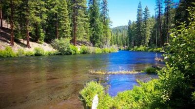 Pioneer Ford Campground