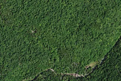 Camp site (NYS DEC)