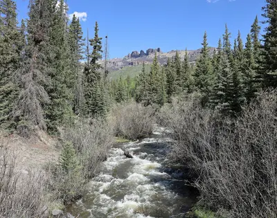 Lost Trail Creek