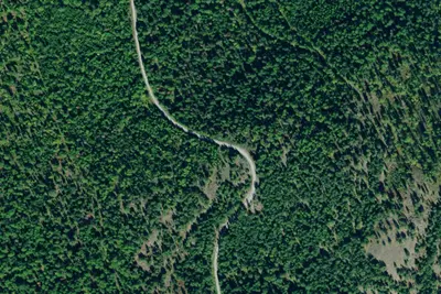 Road 2984-3