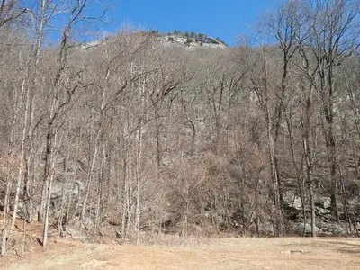 Mount Yonah Trail - panoramio (13)