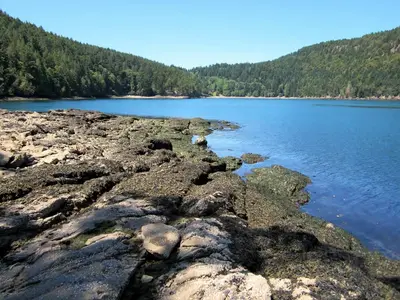 Narvaez Bay (7604530724)