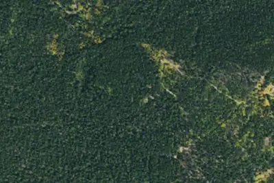 Camp site (Us Forest Service)