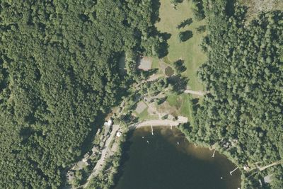 Pilgrim Pines Camping Area