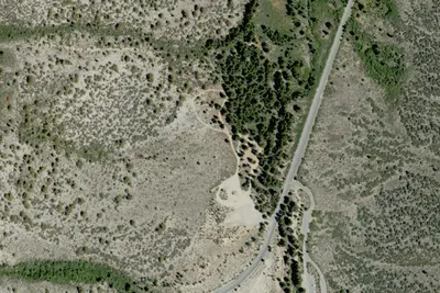 Palisade Group Camp