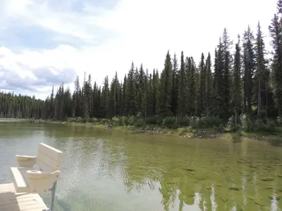 Goldeye Lake Alberta (27349757593)