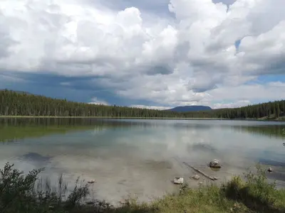 Goldeye Lake Alberta (27683964870)