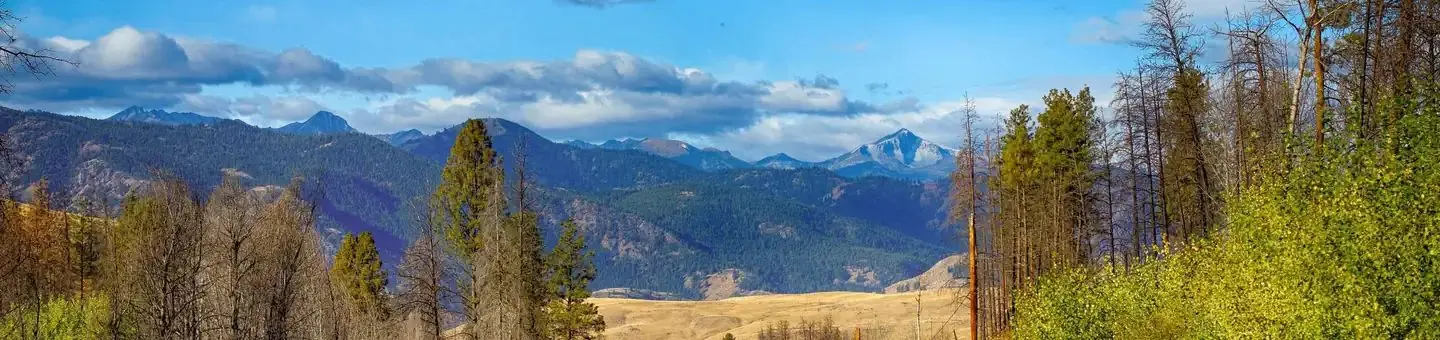 Okanogan-Wenatchee National Forest