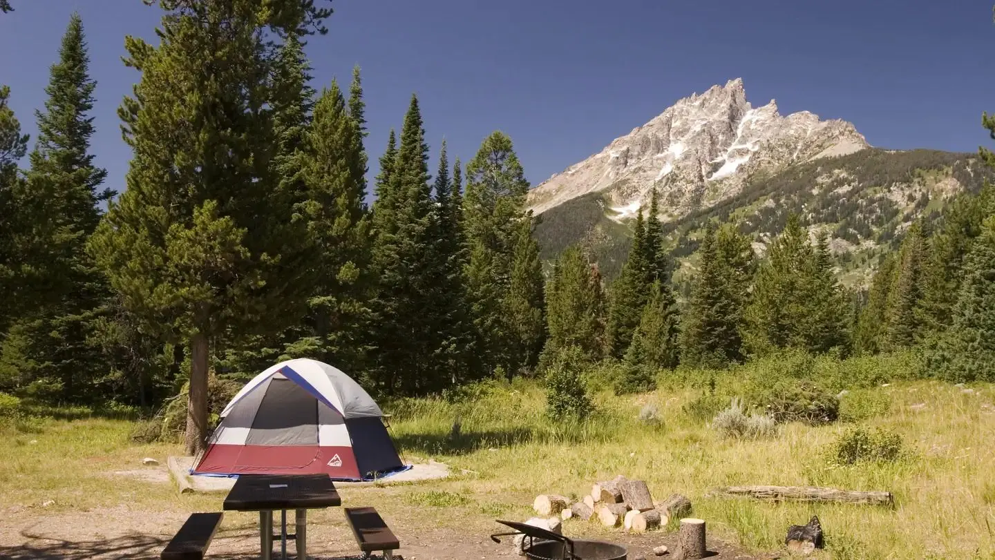 Jenny Lake Tent Site