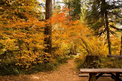 Paradise Campground